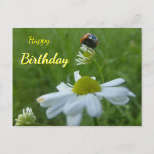 Postale Coccinelle sur carte de vœux d'anniversaire avec f