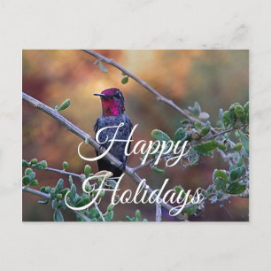 Postale Colibri au coucher du soleil carte postale, Joyeus