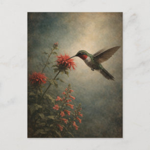Postale Colibri Bloom   Art de l'oiseau floral   Carte pos