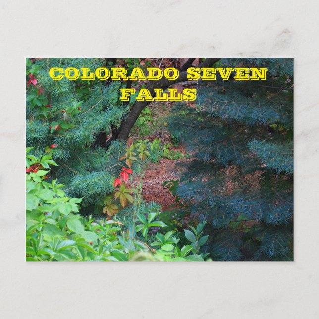 Postale Colorado Seven Falls avec arbres CARTE POST (Devant)