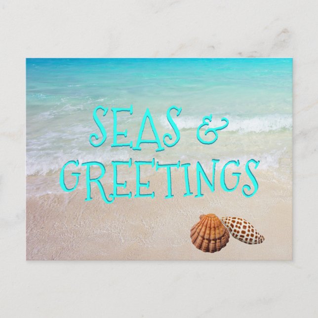 Postale Coquilles de plage Mers et salutations Carte de No (Devant)
