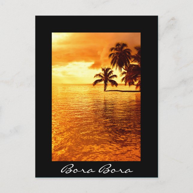 Postale Coucher de soleil de palmier noir Bora Bora carte  (Devant)