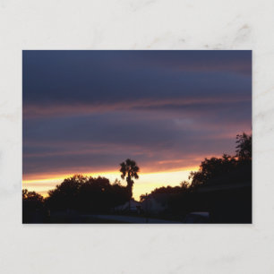 Postale Coucher de soleil foncé et palmier sur carte posta