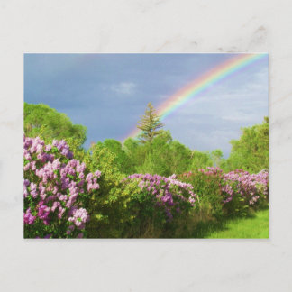 Postale couleurs dans la carte nature