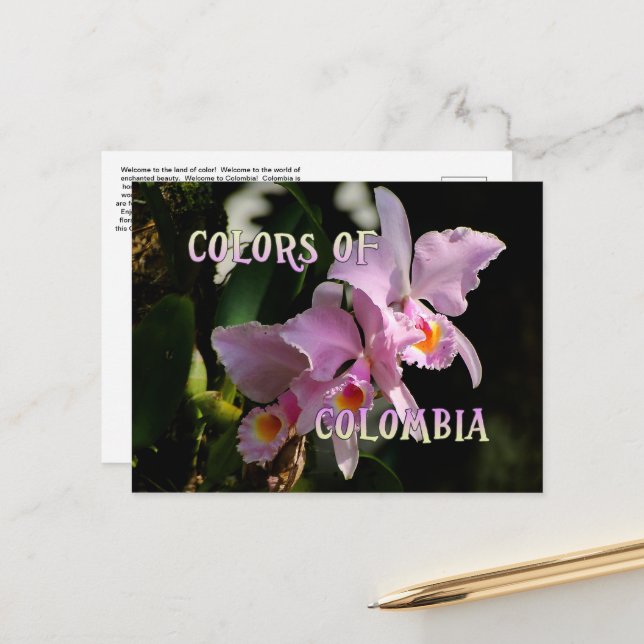 Postale Couleurs de la Colombie Cattleya Orchid Carte post (Devant/Arrière en situation)