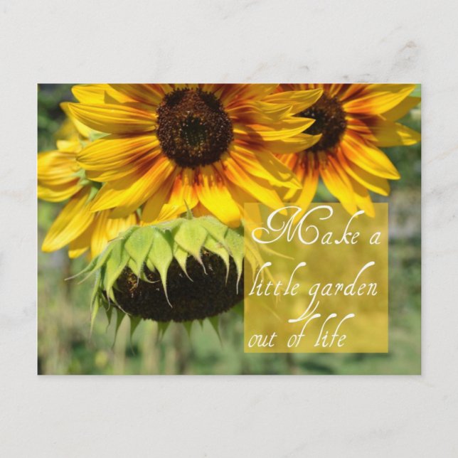 Postale Créer Une Carte De Poste De Tournesols De Jardin (Devant)