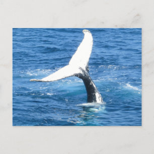 Postale Créez votre propre carte de voeux photo