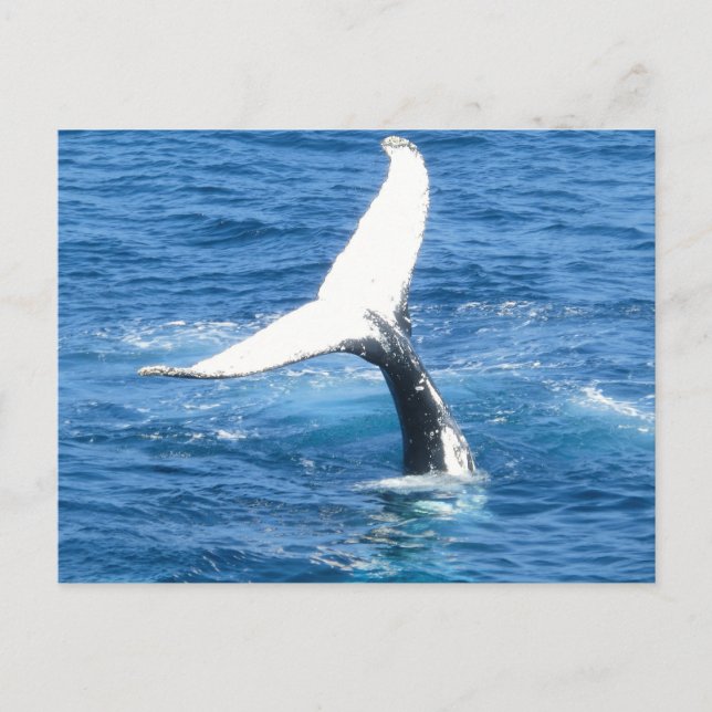 Postale Créez votre propre carte de voeux photo (Devant)