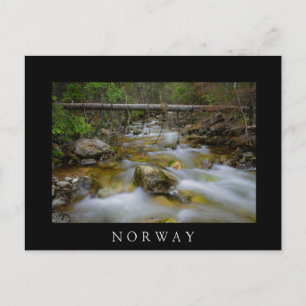 Postale Crique de la forêt rocheuse en Norvège carte posta