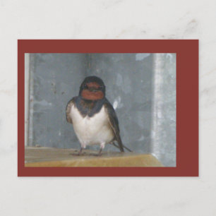 Postale Cute Grange Avaler Près De La Poussière. Carte pos