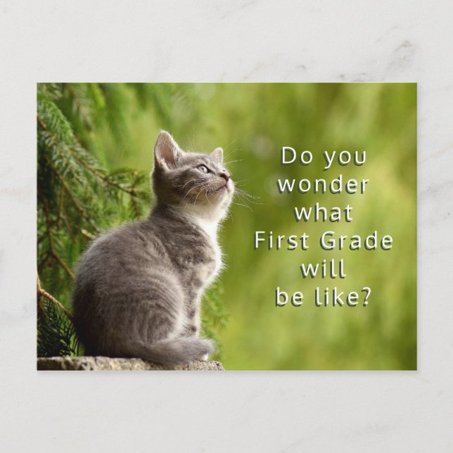 Postale Cute Kitten Élémentaire Étudiants Bienvenue Carte  (Devant)