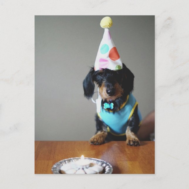 Postale Dachshund Dog Carte d'anniversaire (Devant)