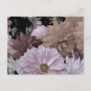 Postale Dahlia Garden Flowers Floral Abstrait Carte postal