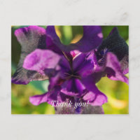 Dans une carte de remerciement Iris