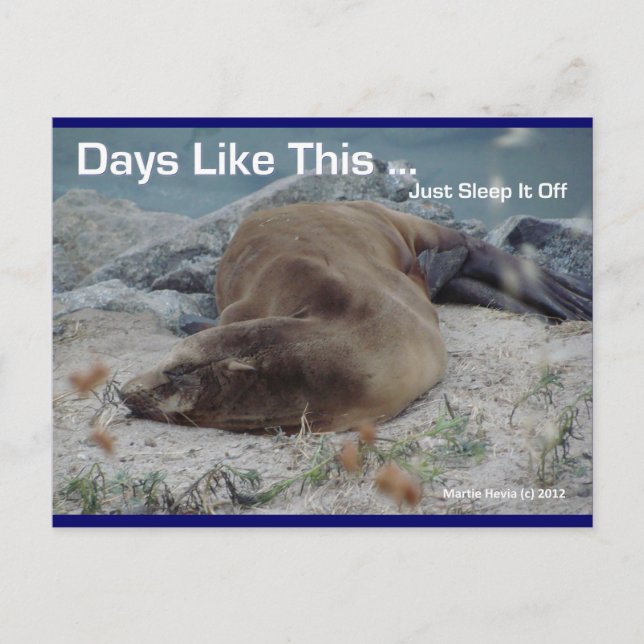 Postale Des Jours Comme Celui-Ci (Lion De Mer) - Carte Pos (Devant)