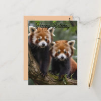 Deux bébés pandas roux, carte de vœux d'anniversai