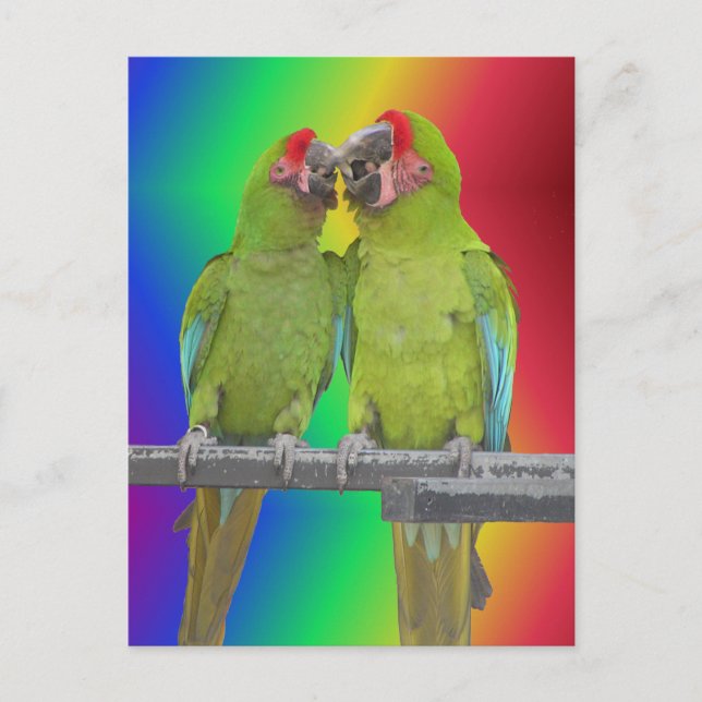 Postale Deux perroquets verts Rainbow do-it-yourself carte (Devant)