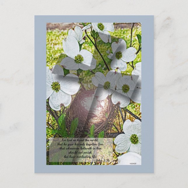 Postale Dogwood Flower and Cross avec John 3:16 Carte post (Devant)