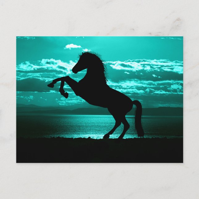 Postale Dramatique Cheval Noir Ciel Turquoise Carte Postal (Devant)