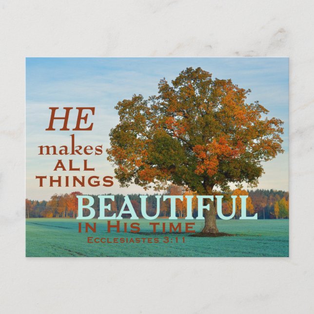 Postale Ecclesiastes 3:11 Toutes choses belle Carte postal (Devant)