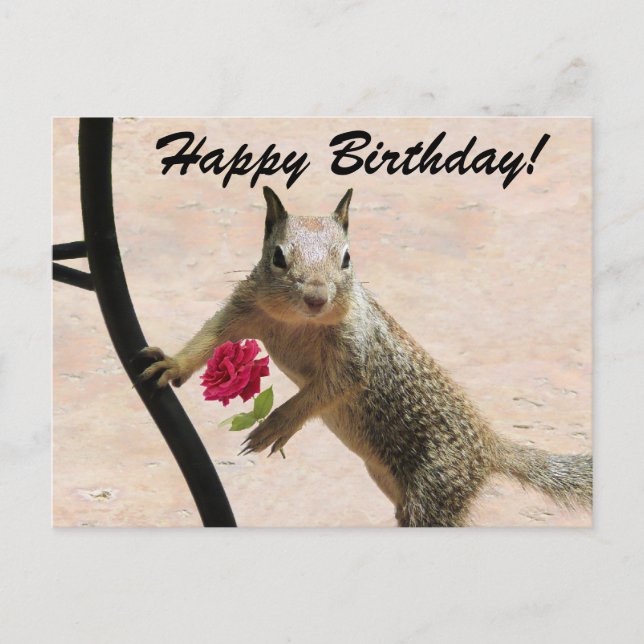 Postale Écureuil tenant une carte de voeux d'anniversaire  (Devant)