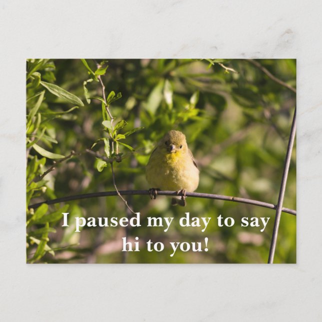Postale Encouragement Carte de voeux avec bébé jaune Bird (Devant)
