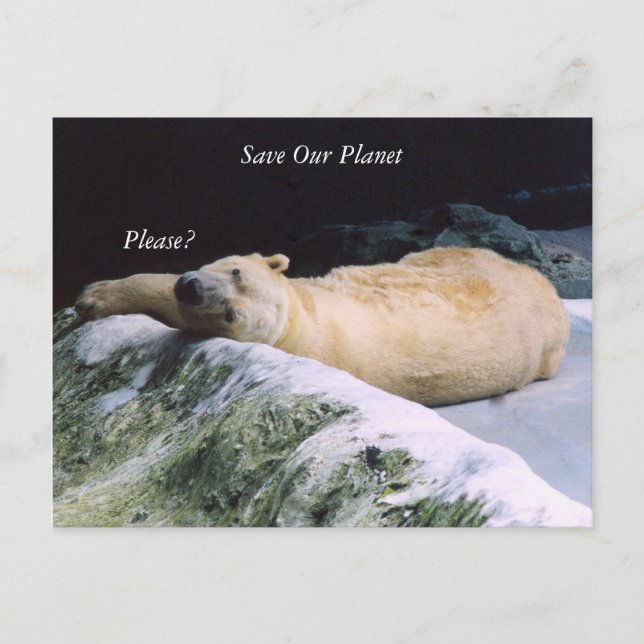 Postale Enregistrer notre série Planète Polar Bear carte p (Devant)