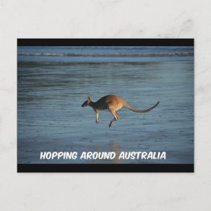 Postale Faire le tour de l'Australie Kangaroo carte postal