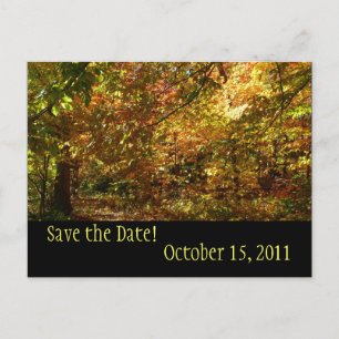 Postale Faire-part Canopy of Fall Leaves Enregistrer la date Carte po