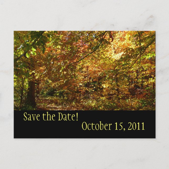 Postale Faire-part Canopy of Fall Leaves Enregistrer la date Carte po (Devant)