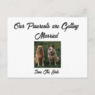 Postale Faire-part Carte de fiançailles minimaliste par les chiens