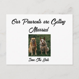 Postale Faire-part Carte de fiançailles minimaliste par les chiens