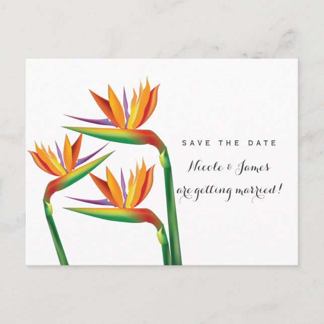 Postale Faire-part Carte de mariage Oiseau de Paradis Enregistrez la  (Devant)