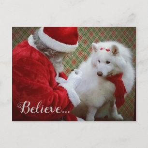 Postale Faire-part Carte de Noël de Samoyède et Père Noël