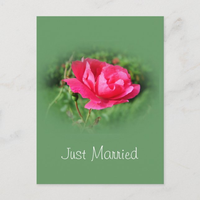 Postale Faire-part Carte de notification d'adresse juste mariée (Devant)