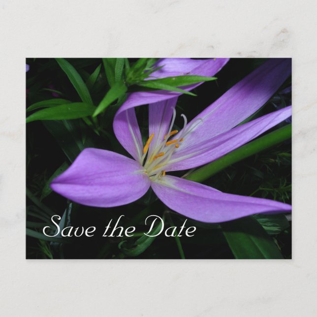 Postale Faire-part Carte de notification de sauvegarde de date (Devant)