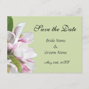 Postale Faire-part carte de préavis de floraison de pommier