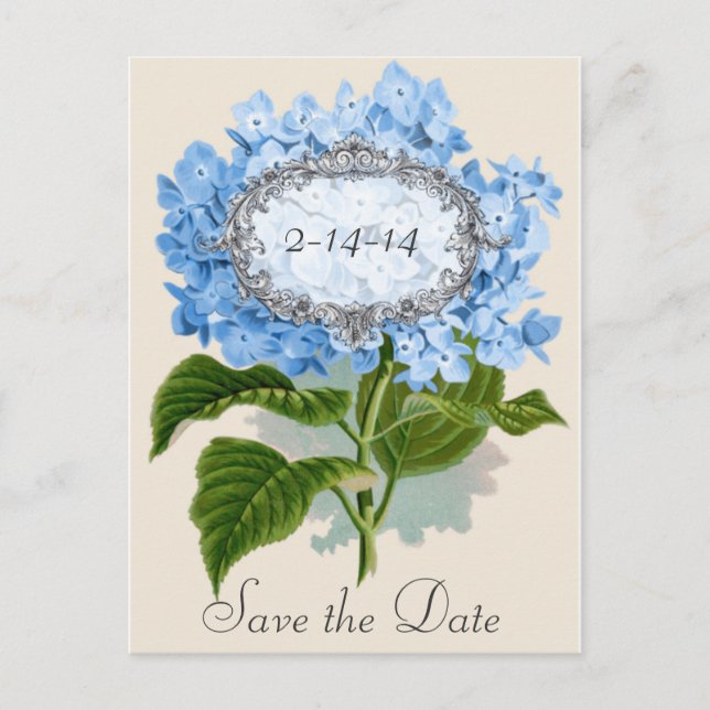 Postale Faire-part Carte de rappel de mariage à cadre Hydrangea bleue (Devant)