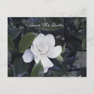 Postale Faire-part Carte de rendez-vous Enchanting Gardenia