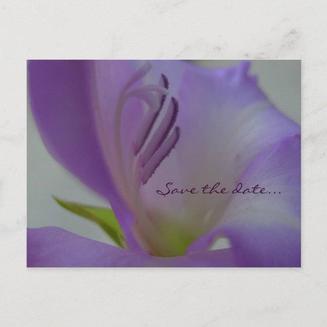 Postale Faire-part Carte de rendez-vous PurpleDreamFlower (Devant)