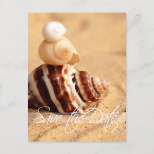 Postale Faire-part Carte de réservation avec empilement de coquilles 