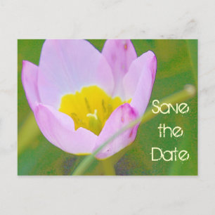 Postale Faire-part carte de sauvegarde de date de fleur de tulipe vie