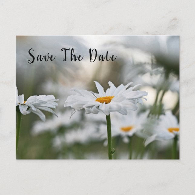 Postale Faire-part Carte de vœux d'anniversaire 'Save The Date' (Devant)