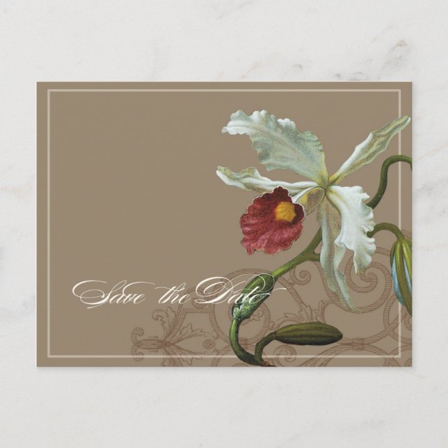 Postale Faire-part Cattleya Orchid Taupe - Enregistrer la date carte  (Devant)