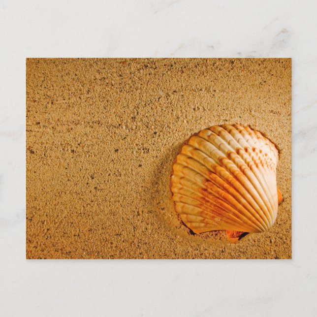 Postale Faire-part Designer Enregistrer La Carte Dates (Devant)