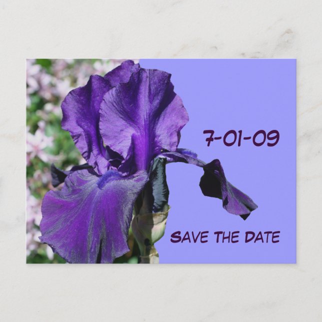 Postale Faire-part Enregistrer La Date Purple Iris Flower Photo Carte (Devant)