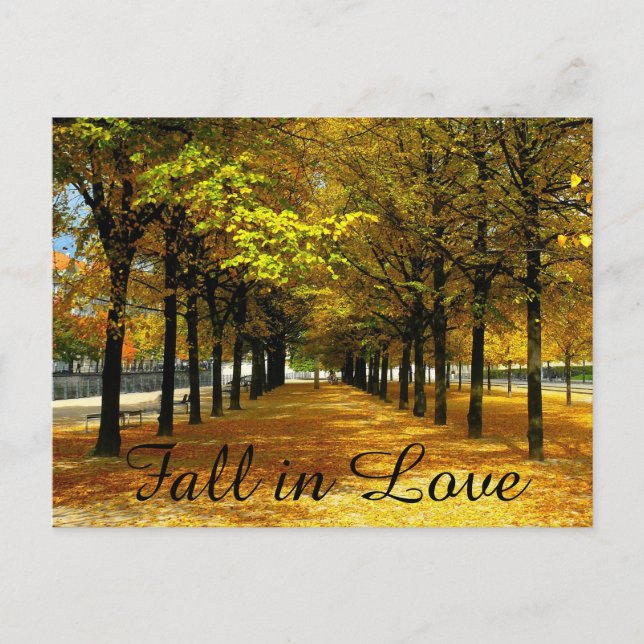Postale Faire-part Feuilles Automne Enregistrer La Carte Date Post (Devant)