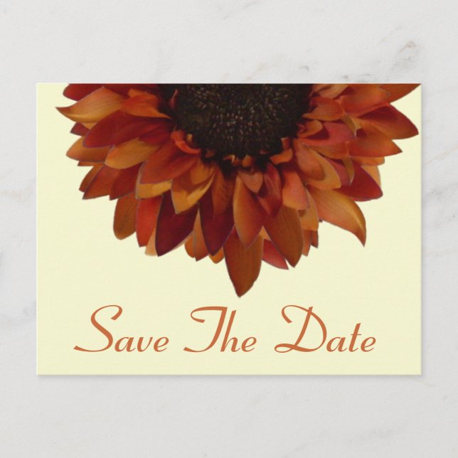 Postale Faire-part Mariage de automne Enregistrer La Date Carte Posta (Devant)