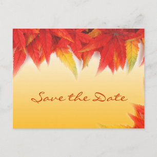 Postale Faire-part Mariage feuille rouge automne sauf la date carte p