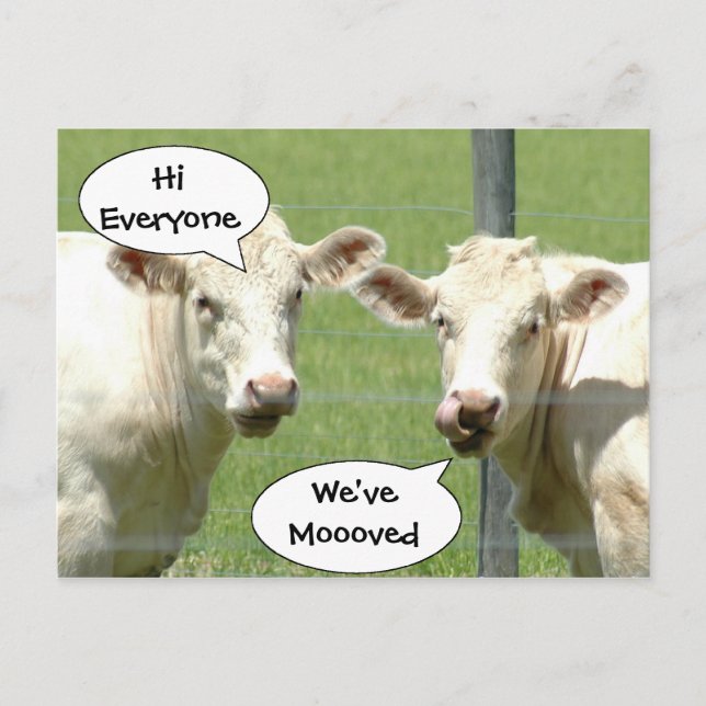 Postale Faire-part Présentation des vaches Changement d'adresse Carte (Devant)